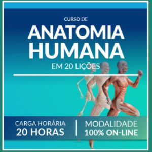 Anatomia Humana (20 Lições) Manole - rateio de concursos